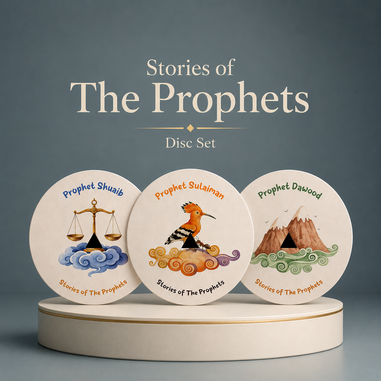 Stories of The Prophets Disc Set (24 Discs) • PVC Super Durable!